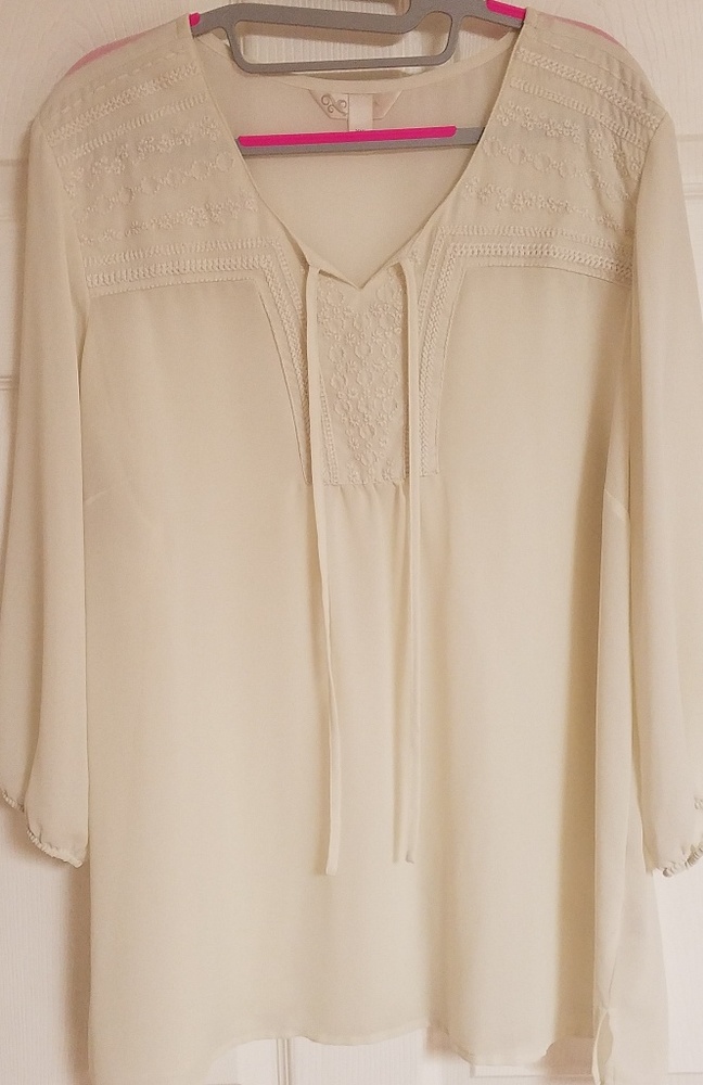 Woman's Krazy K XXL sheer top